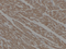 //jqrorwxhrkjnln5q-static.micyjz.com/cloud/liBpjKnjlkSRqipprkmmip/93829634df69e27c77ea7ecb1ceb0752-60-60.png