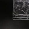 6-puits de boîtes de Pétri avec couvercle en tissu culture plastique stérile transparent en polystyrène