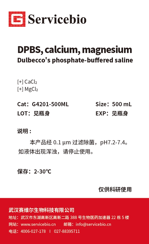 Le tampon DPBS contient des ions de calcium et de la magnésium pour une expérience d'embryon biochimique IHC