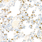 //jqrorwxhrkjnln5q-static.micyjz.com/cloud/llBpjKnjlkSRqippkjlniq/02711d55a73961fcf79f2f01555f73ab-60-60.jpg
