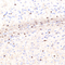 //jqrorwxhrkjnln5q-static.micyjz.com/cloud/lmBpjKnjlkSRqippojnoiq/0e0e8ba9da9f0a6b1288da80f728204c-60-60.jpg